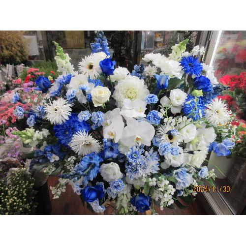 �u���[�n�[�g�A�����W3