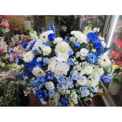 �u���[�n�[�g�A�����W4