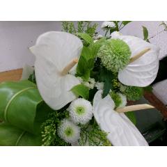 �䋟���A�����W�@���V���u