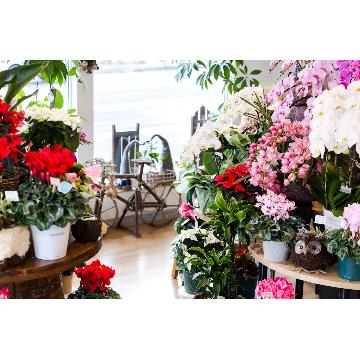 宮城県大崎市の花屋 ｈａｎａｙａ ａｚｕｍａ をご紹介 フラワーギフトはプロのお花屋さんにおまかせ フジテレビフラワーネット