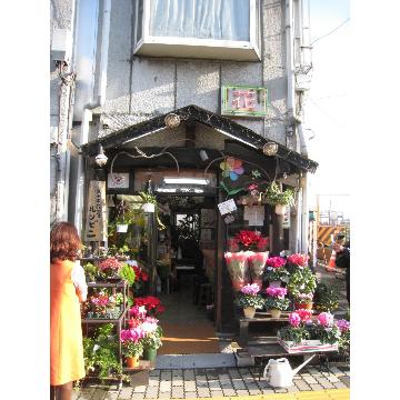 神奈川県横浜市 鶴見区の花屋 草木花屋 ルンビニ をご紹介 フラワーギフトはプロのお花屋さんにおまかせ フジテレビフラワーネット