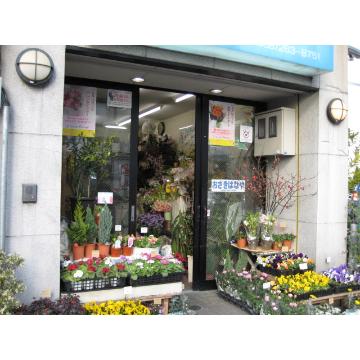 岐阜県岐阜市の花屋 おざきはなや をご紹介 フラワーギフトはプロのお花屋さんにおまかせ フジテレビフラワーネット 岐阜県岐阜市の花屋 おざきはなや をご紹介 フラワーギフトはプロのお花屋さんにおまかせ フジテレビフラワーネット