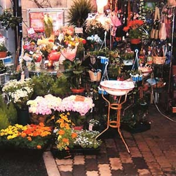 東京都渋谷区の花屋 馬鈴花 をご紹介 フラワーギフトはプロのお花屋さんにおまかせ フジテレビフラワーネット