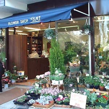 奈良県奈良市の花屋 あすか風 をご紹介 フラワーギフトはプロのお花屋さんにおまかせ フジテレビフラワーネット