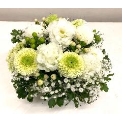 white@Arrangement