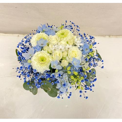 white@@blue