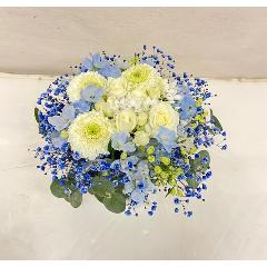 white@@blue