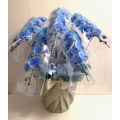Ӓ@blue@5F