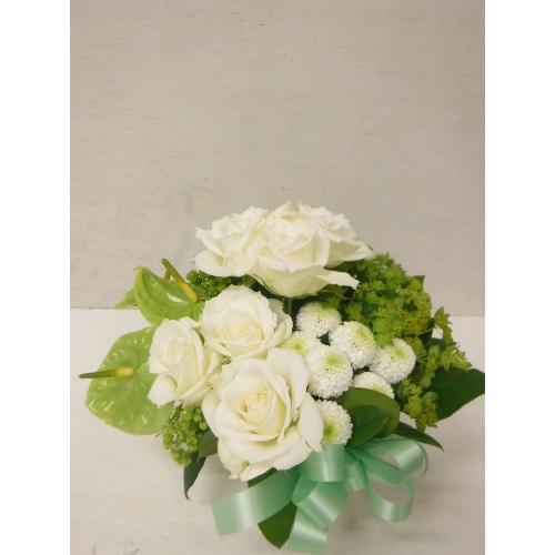 white~green@Arrangement