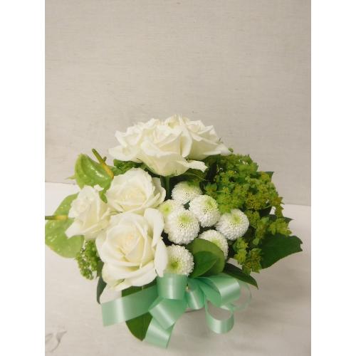 white~green@Arrangement2