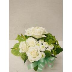 white~green@Arrangement