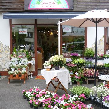 奈良県奈良市の花屋 フラワーショップメープル をご紹介 フラワーギフトはプロのお花屋さんにおまかせ フジテレビフラワーネット