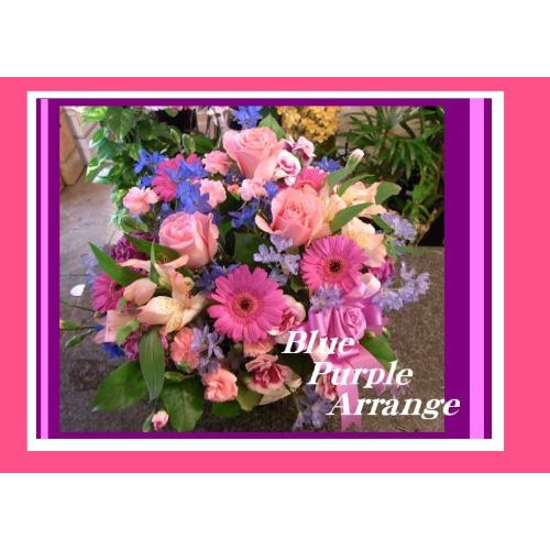 ��u���[�E�p�[�v�����܂����A�����W��