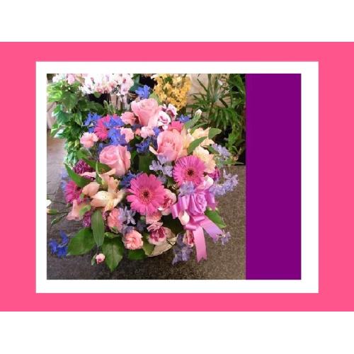 ��u���[�E�p�[�v�����܂����A�����W��2