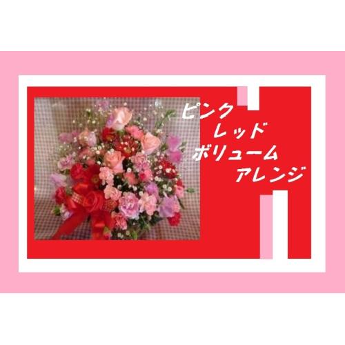 ���s���N���b�h�{�����[���A�����W��2