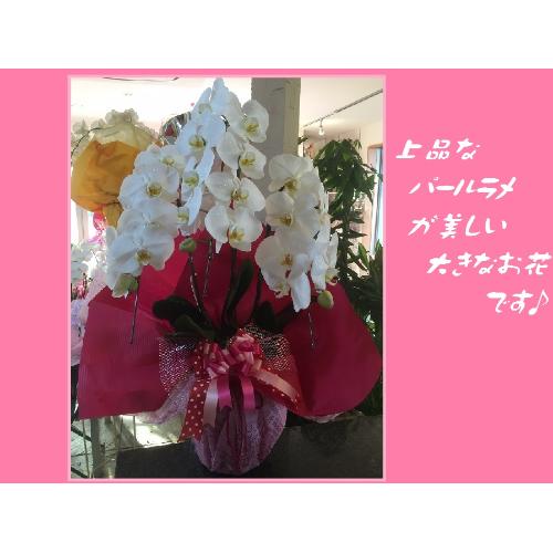 ֍p[Ӓ2