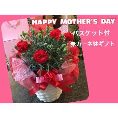 �������֤ʥ����ͥ���󥮥եȡ��������