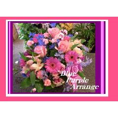 ���֥롼���ѡ��ץ뤢���䤫����󥸢��������