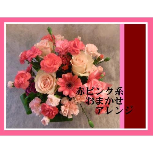 ��s���N�E���b�h�n���܂����A�����W����̓���2