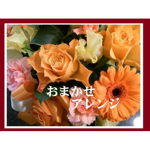 ��r�^�~���J���[���܂����A�����W����̓���