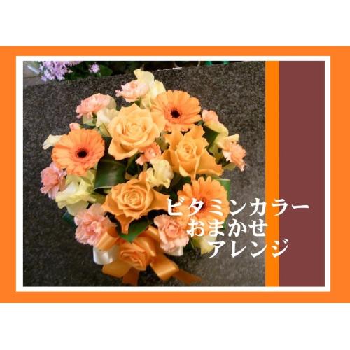 ��r�^�~���J���[���܂����A�����W����̓���2