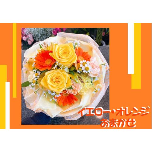 ��C�G���[�E�I�����W�n���܂����u�[�P��