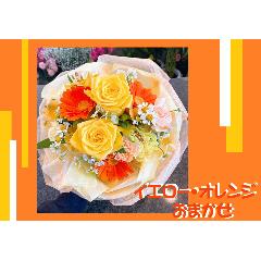 ��C�G���[�E�I�����W�n���܂����u�[�P��