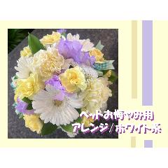 ���y�b�g������ݗp�A�����W�����܂����z���C�g�n