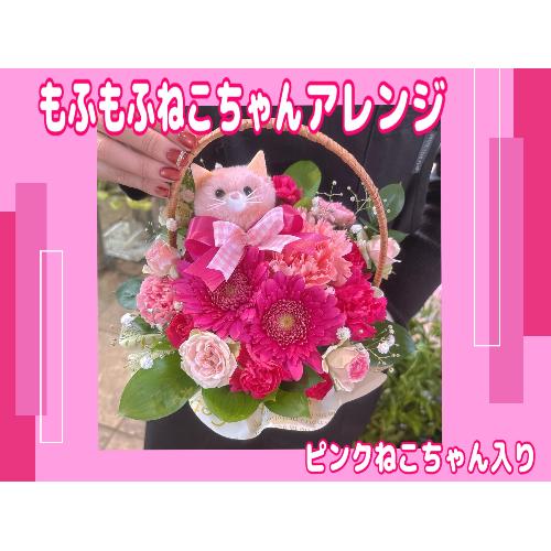 �����ӂ��ӂ˂������A�����W���Z���s���N