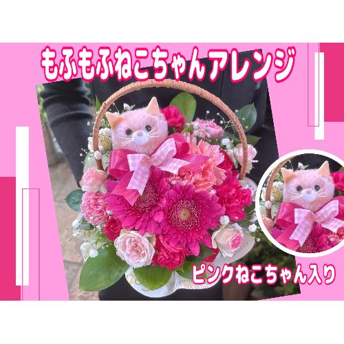 �����ӂ��ӂ˂������A�����W���Z���s���N2