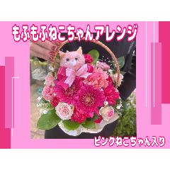 �����ӂ��ӂ˂������A�����W���Z���s���N