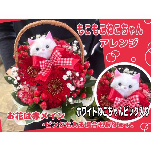 �����������˂������A�����W�����b�h�n