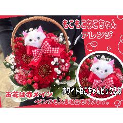 �����������˂������A�����W�����b�h�n