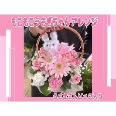 ���������������������A�����W���W���s���N�n