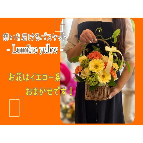 �z����͂���o�X�P�b�g�`Lumiere Yellow�`2