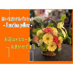 �z����͂���o�X�P�b�g�`Lumiere Yellow�`