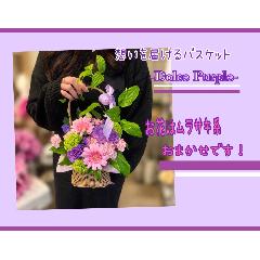 �z����͂���o�X�P�b�g�`Dolce purple�`