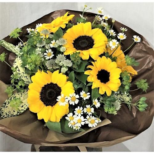 SUNSHINE3