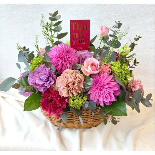 �u2026 ��̓��A�����W�����g� L