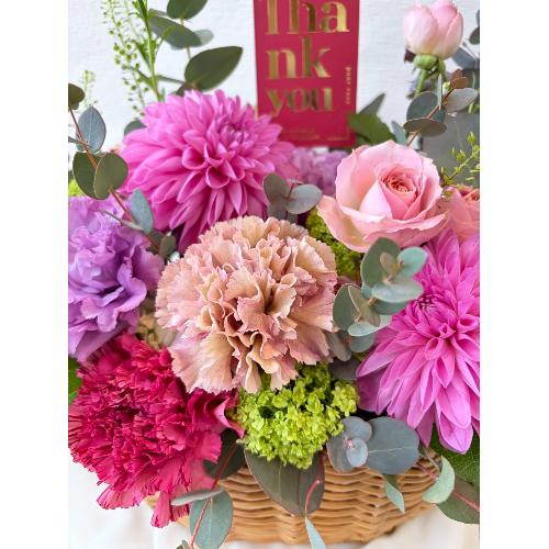 �u2026 ��̓��A�����W�����g� L2