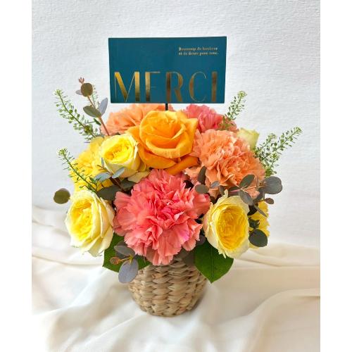 �2026 ��̓��A�����W�����g� M �I�����W�E�C�G���[