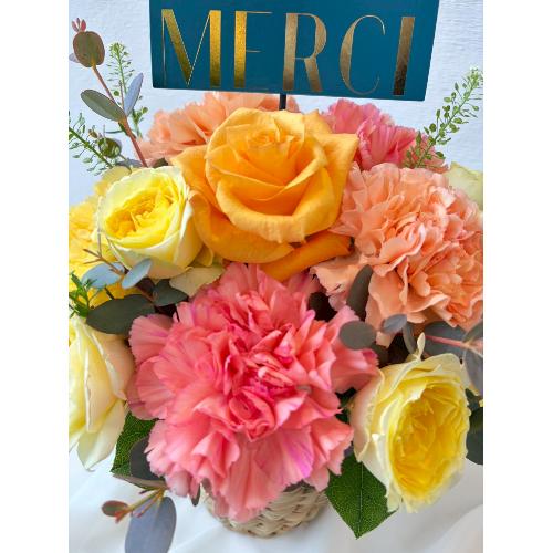 �2026 ��̓��A�����W�����g� M �I�����W�E�C�G���[2