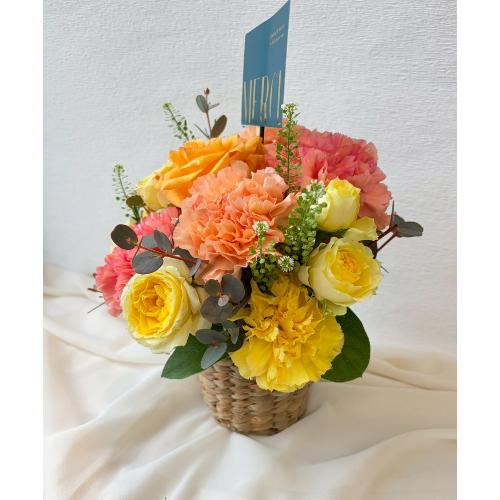 �2026 ��̓��A�����W�����g� M �I�����W�E�C�G���[3