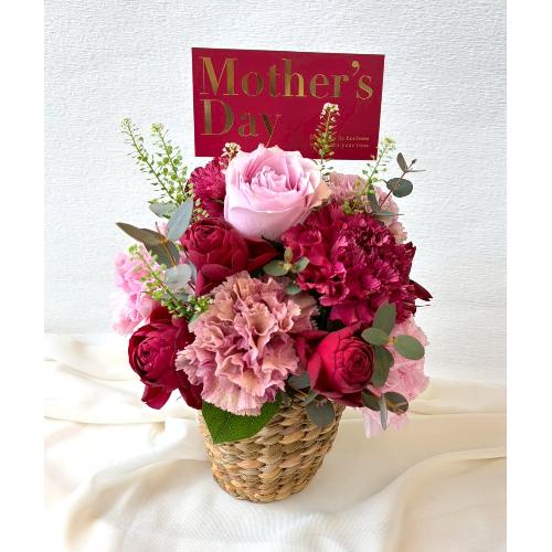 �2026 ��̓��A�����W�����g� M �s���N