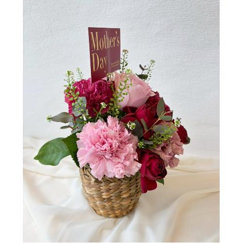 �2026 ��̓��A�����W�����g� M �s���N4