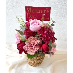 �2026 ��̓��A�����W�����g� M �s���N