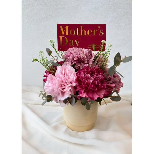 �2026 ��̓��A�����W�����g� S  �s���N