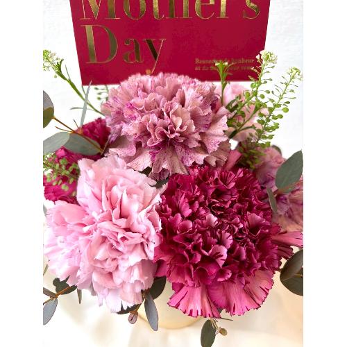 �2026 ��̓��A�����W�����g� S  �s���N3