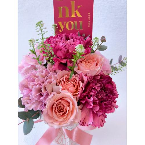 ���Ăď����u�[�P�@�s���N2