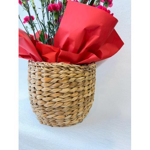 �J�[�l�[�V�����̔��A��2